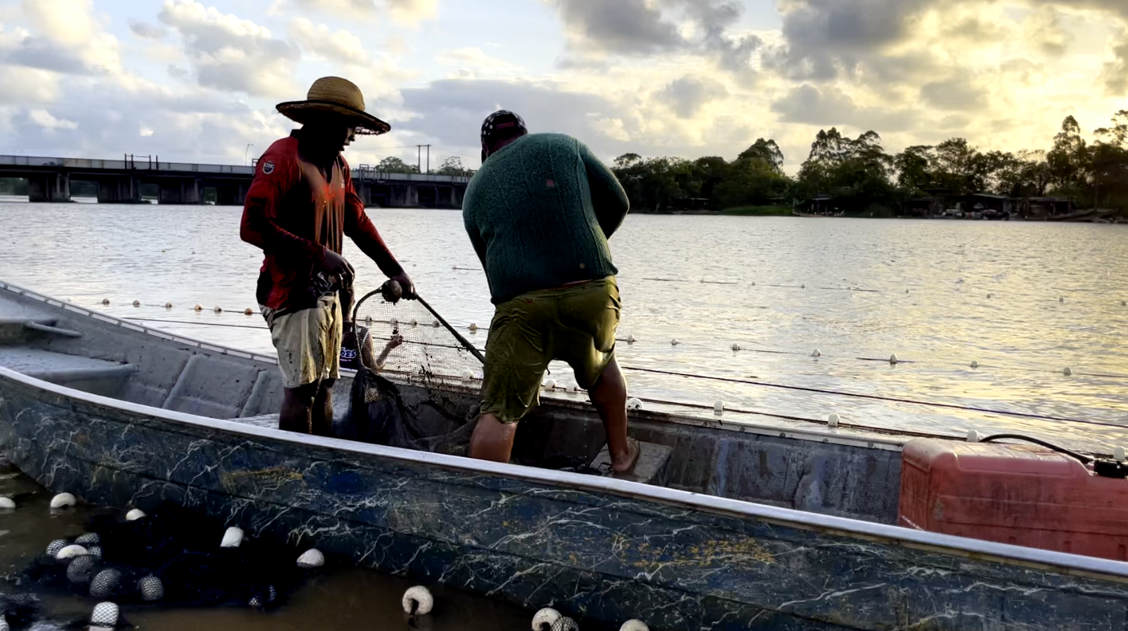 Entre Redes e Marés: A Vida Real dos Pescadores Artesanais em Iguape