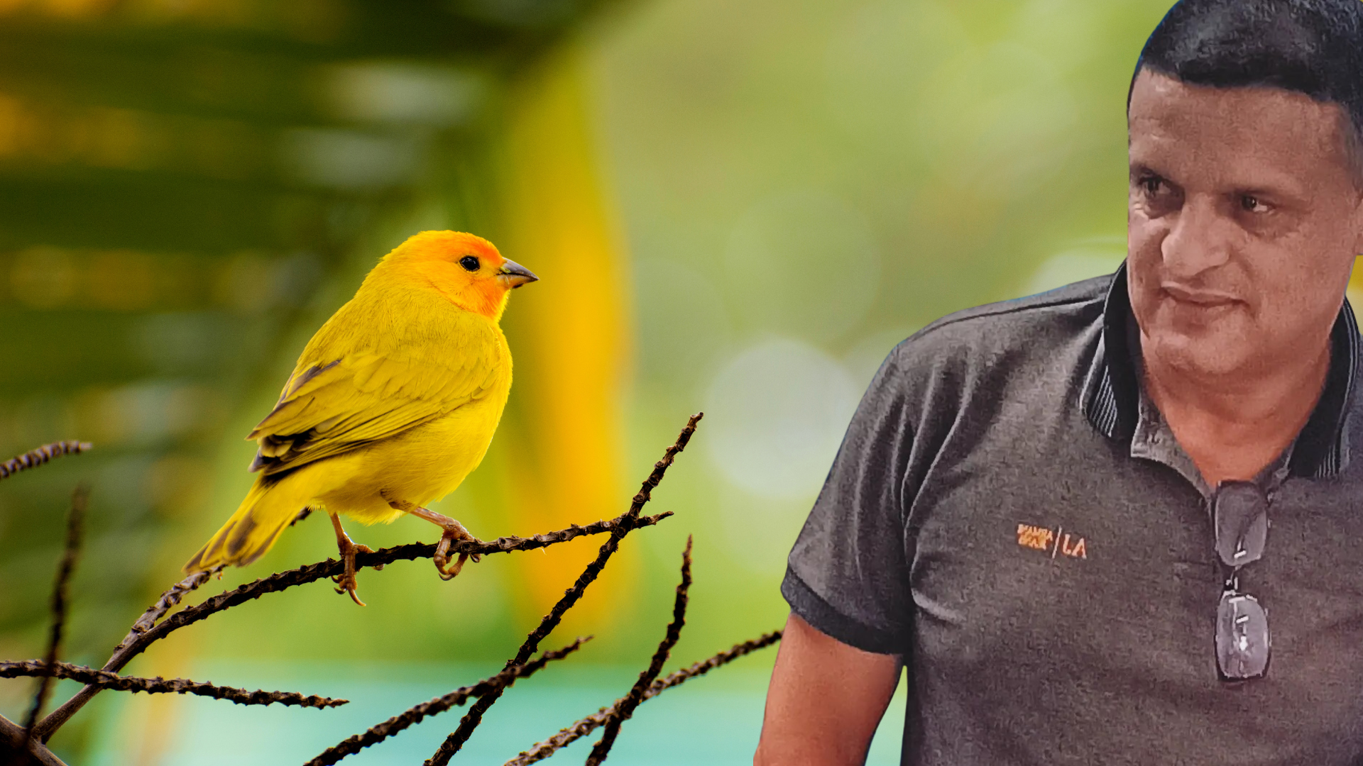 Professor transforma chácara em observatório de aves e refúgio ecológico em Jacupiranga